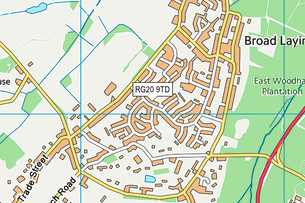 RG20 9TD map - OS VectorMap District (Ordnance Survey)