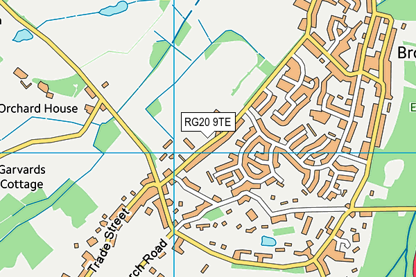 RG20 9TE map - OS VectorMap District (Ordnance Survey)