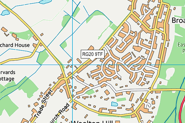 RG20 9TF map - OS VectorMap District (Ordnance Survey)