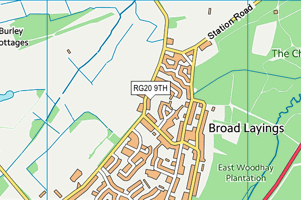 RG20 9TH map - OS VectorMap District (Ordnance Survey)