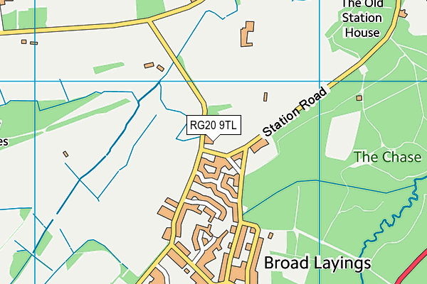 RG20 9TL map - OS VectorMap District (Ordnance Survey)