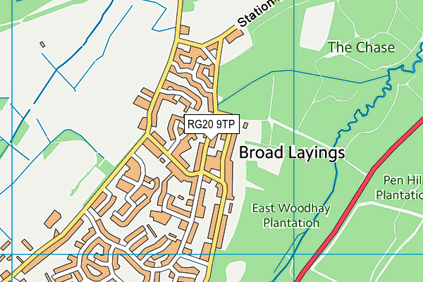 RG20 9TP map - OS VectorMap District (Ordnance Survey)