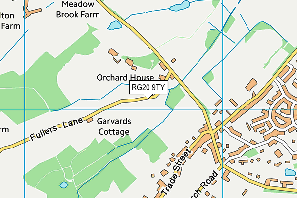 RG20 9TY map - OS VectorMap District (Ordnance Survey)