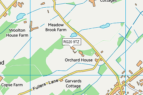 RG20 9TZ map - OS VectorMap District (Ordnance Survey)