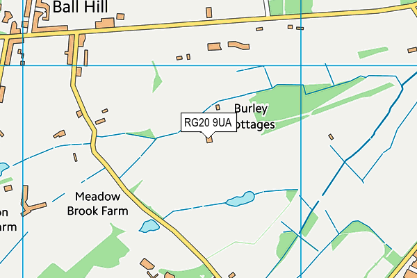 RG20 9UA map - OS VectorMap District (Ordnance Survey)