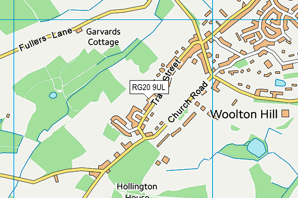 RG20 9UL map - OS VectorMap District (Ordnance Survey)