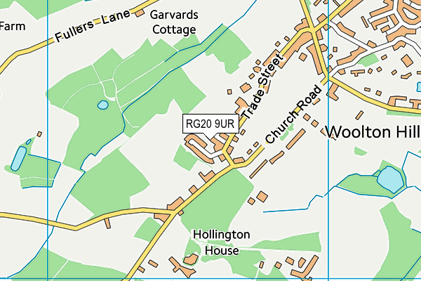 RG20 9UR map - OS VectorMap District (Ordnance Survey)