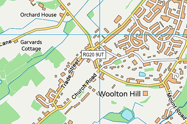 RG20 9UT map - OS VectorMap District (Ordnance Survey)