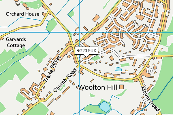 RG20 9UX map - OS VectorMap District (Ordnance Survey)