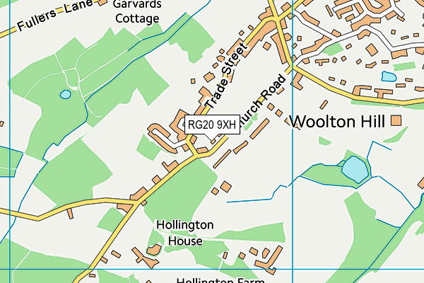 RG20 9XH map - OS VectorMap District (Ordnance Survey)