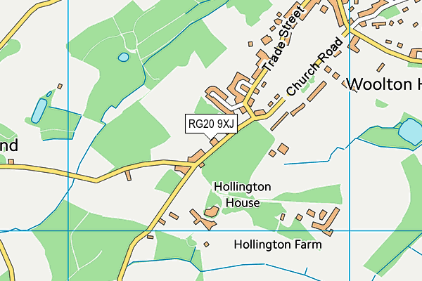 RG20 9XJ map - OS VectorMap District (Ordnance Survey)