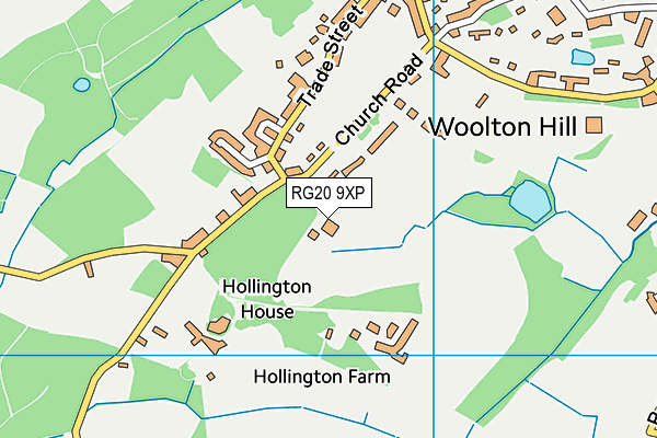 RG20 9XP map - OS VectorMap District (Ordnance Survey)