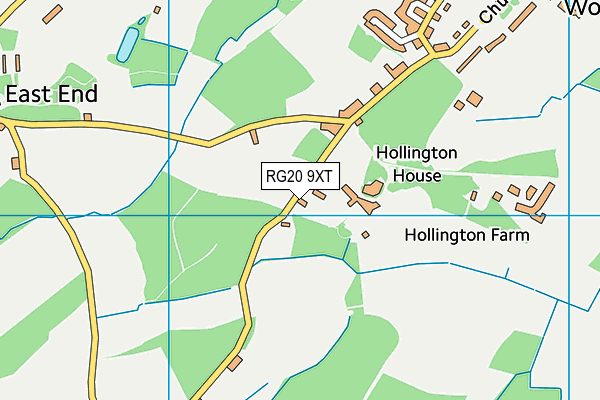 RG20 9XT map - OS VectorMap District (Ordnance Survey)