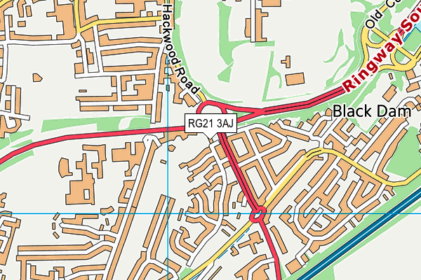 RG21 3AJ map - OS VectorMap District (Ordnance Survey)