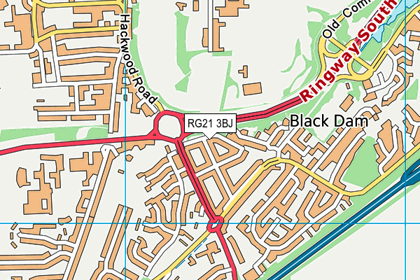 RG21 3BJ map - OS VectorMap District (Ordnance Survey)