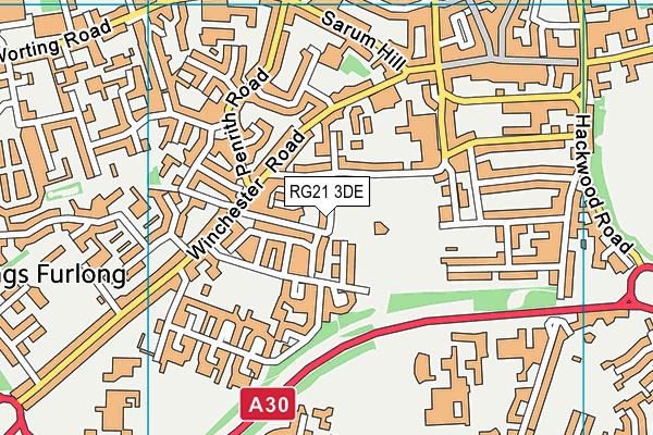 RG21 3DE map - OS VectorMap District (Ordnance Survey)