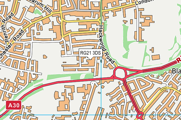 RG21 3DS map - OS VectorMap District (Ordnance Survey)