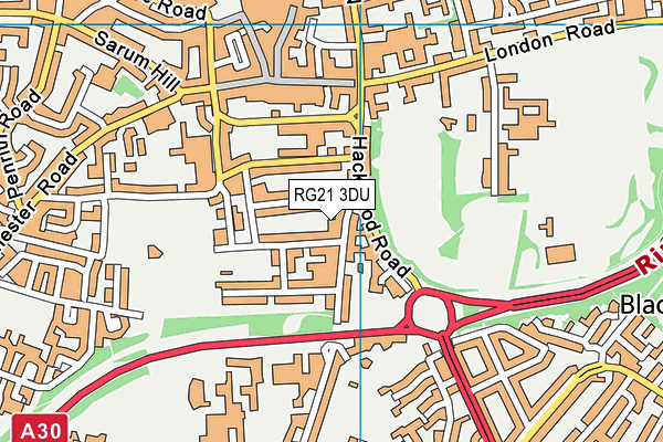 RG21 3DU map - OS VectorMap District (Ordnance Survey)