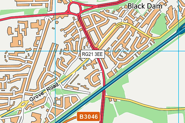 RG21 3EE map - OS VectorMap District (Ordnance Survey)