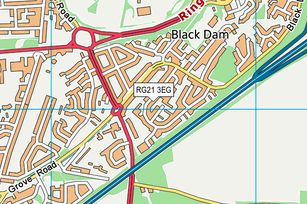 RG21 3EG map - OS VectorMap District (Ordnance Survey)