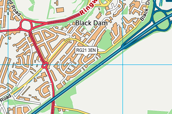 RG21 3EN map - OS VectorMap District (Ordnance Survey)
