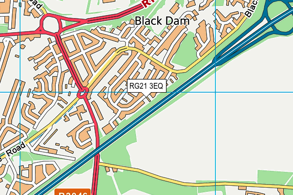 RG21 3EQ map - OS VectorMap District (Ordnance Survey)