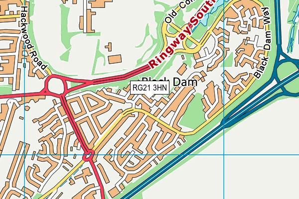 RG21 3HN map - OS VectorMap District (Ordnance Survey)