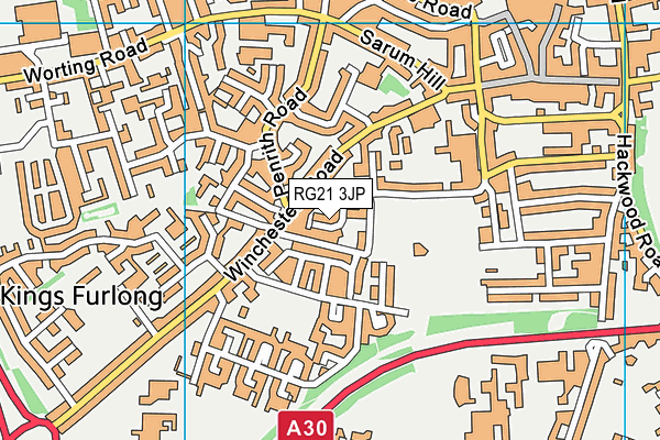 RG21 3JP map - OS VectorMap District (Ordnance Survey)