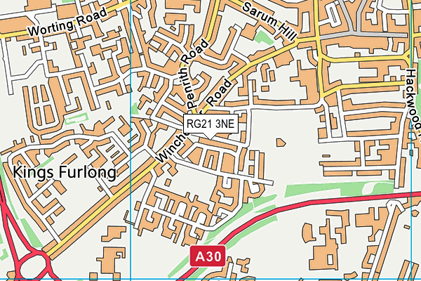 RG21 3NE map - OS VectorMap District (Ordnance Survey)