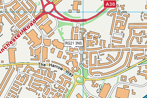 RG21 3NS map - OS VectorMap District (Ordnance Survey)