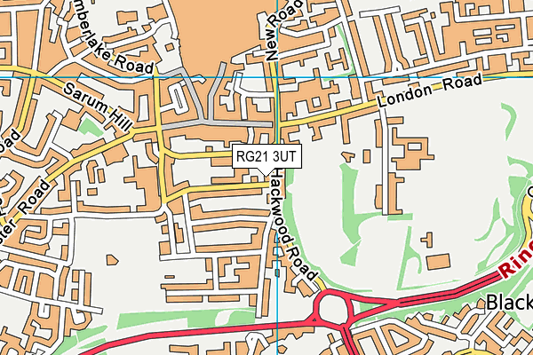 RG21 3UT map - OS VectorMap District (Ordnance Survey)