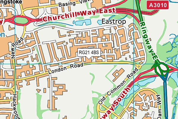 RG21 4BS map - OS VectorMap District (Ordnance Survey)