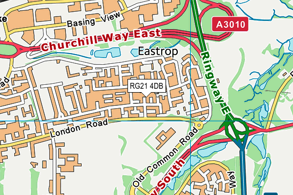 RG21 4DB map - OS VectorMap District (Ordnance Survey)