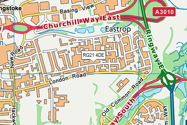 RG21 4DE map - OS VectorMap District (Ordnance Survey)