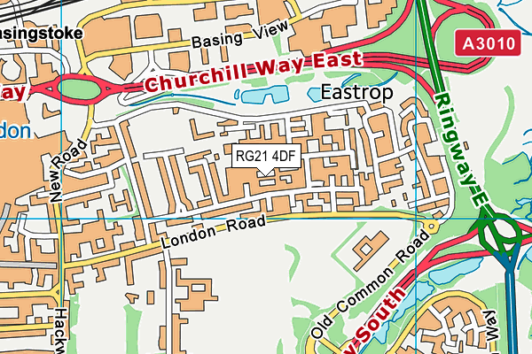 RG21 4DF map - OS VectorMap District (Ordnance Survey)