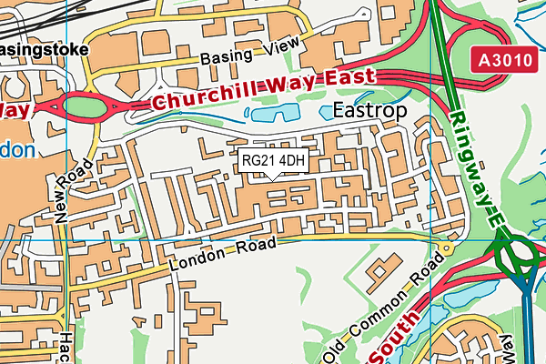 RG21 4DH map - OS VectorMap District (Ordnance Survey)