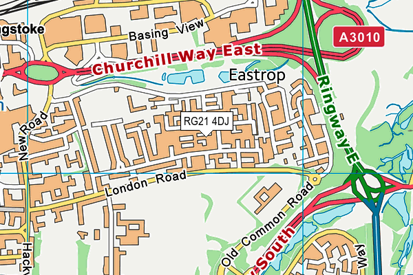 RG21 4DJ map - OS VectorMap District (Ordnance Survey)