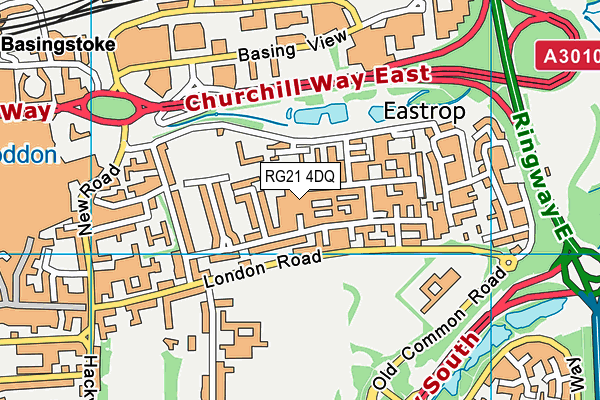 RG21 4DQ map - OS VectorMap District (Ordnance Survey)