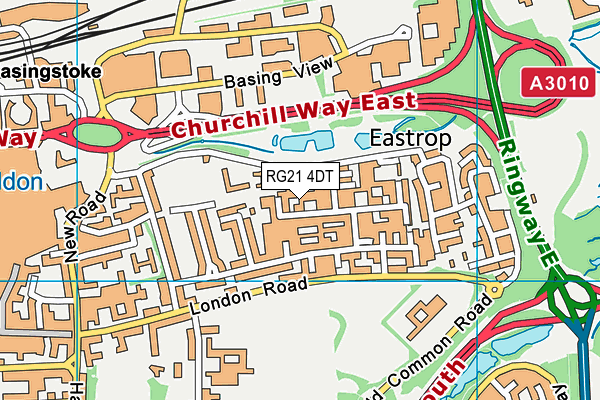 RG21 4DT map - OS VectorMap District (Ordnance Survey)