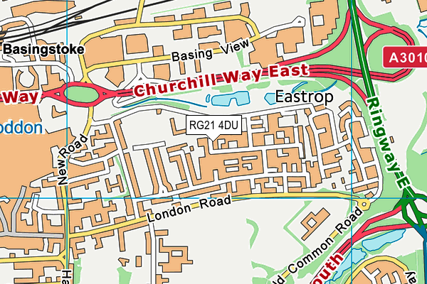 RG21 4DU map - OS VectorMap District (Ordnance Survey)