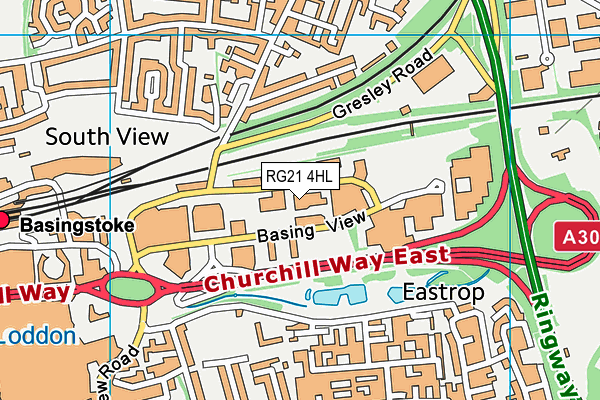 RG21 4HL map - OS VectorMap District (Ordnance Survey)