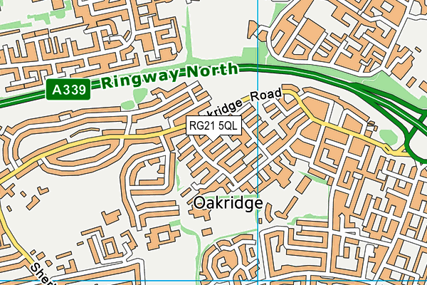 RG21 5QL map - OS VectorMap District (Ordnance Survey)