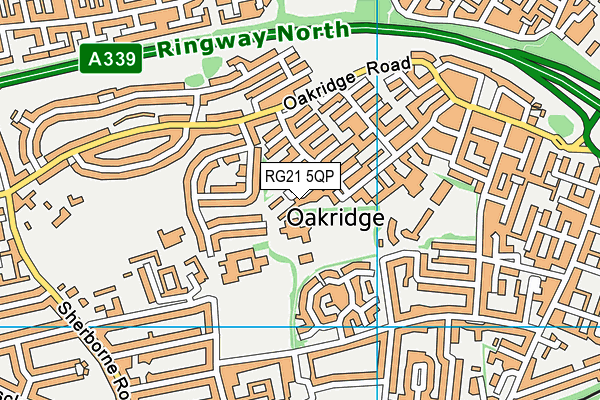 RG21 5QP map - OS VectorMap District (Ordnance Survey)