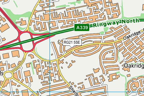 RG21 5SE map - OS VectorMap District (Ordnance Survey)