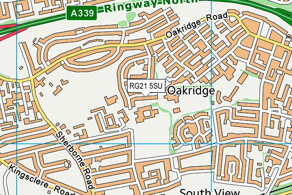 Dove House Academy map (RG21 5SU) - OS VectorMap District (Ordnance Survey)