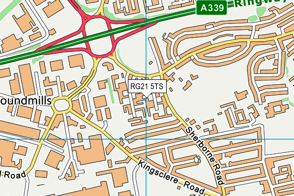 RG21 5TS map - OS VectorMap District (Ordnance Survey)