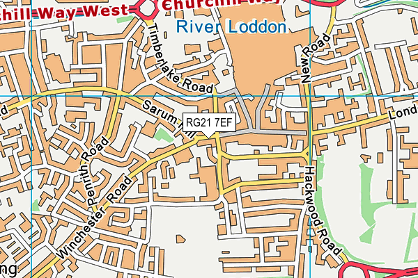 RG21 7EF map - OS VectorMap District (Ordnance Survey)