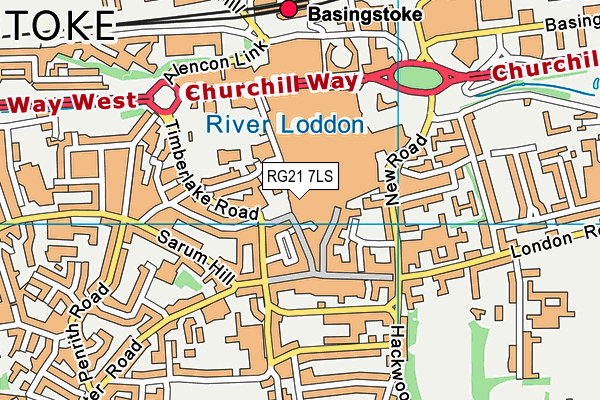 RG21 7LS map - OS VectorMap District (Ordnance Survey)