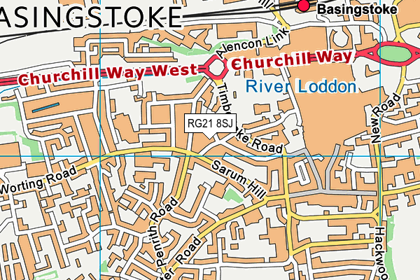 RG21 8SJ map - OS VectorMap District (Ordnance Survey)