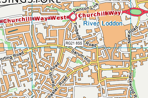 RG21 8SS map - OS VectorMap District (Ordnance Survey)